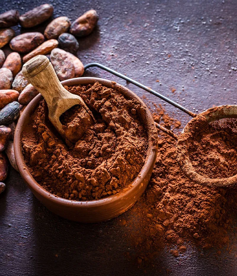 Poudre de cacao